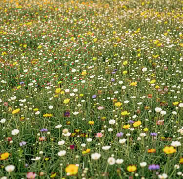 A vibrant stall at the Flower Mela bursting with colorful blooms and smiling visitors.