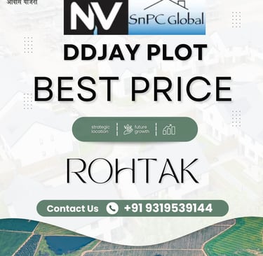 NV CITY ROHTAK