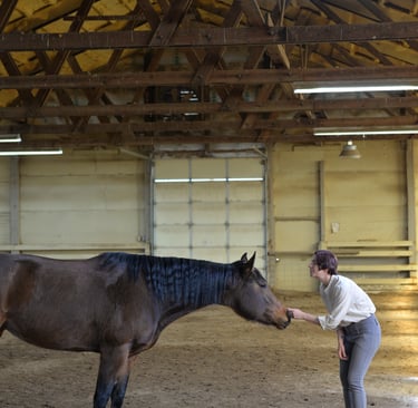 horse and human touching hand to nose Tamarin and Kassandra. Photo by Kaylyn B