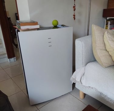 Blueair Pro L salón