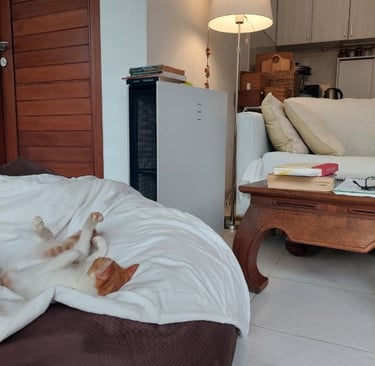 Blueair Pro y mascota: ayuda con la alergía y el asma