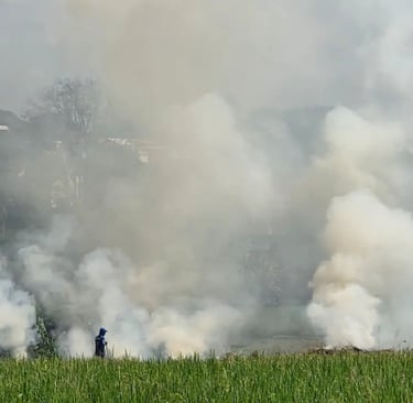 Quema de arrozales, algo como esto es lo que generó el pico de contaminación analizado