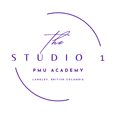 PMU Academy
