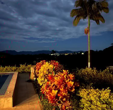 Finca Hotel Villa Flor Quimbaya Quindío