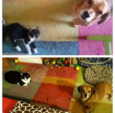 Little lives lived together