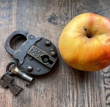 I am the key. And I need that one lock. 