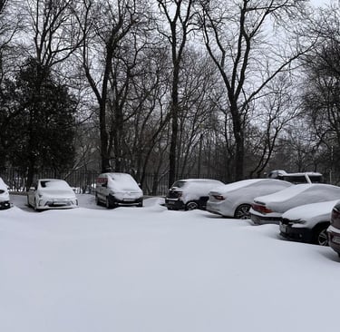 Pisicăria at the end of winter. no path yet!