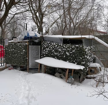 Pisicăria under a bit of a siege