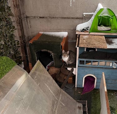 She is Claudette. Brother Claude is busy eating.