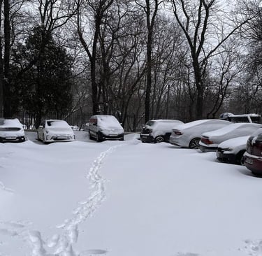 Job done, path done, dinner done, winter not so much