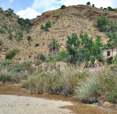 Landscape at the beginning of the Chicamo River gorge. This area in the municipality of Abanilla off