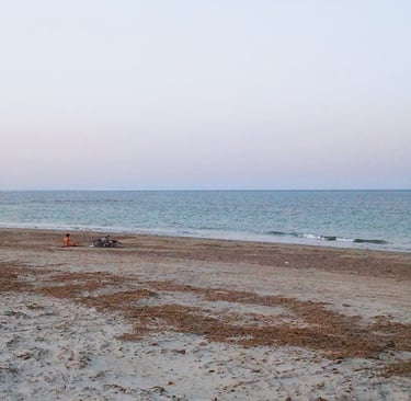 Playa de la Llana, one of the few "virgin" beaches remaining on the Spanish Mediterranean coast.