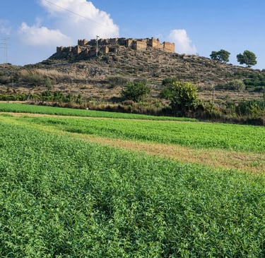 About 5 km from the city of Murcia, in Monteagudo, is the Alcázar of Ibn Sad, ordered to be built by