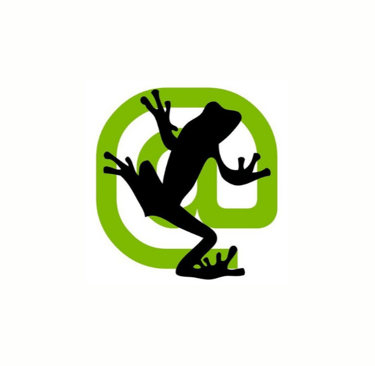 ScreamingFrog-SEO-Spider-seo-paslaugos