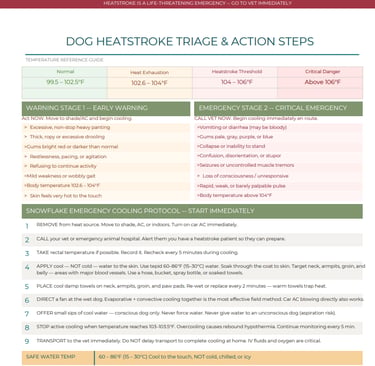 Dog Heatstroke and Actions Steps download
