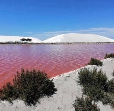 Les Salins de Aigues Mortes