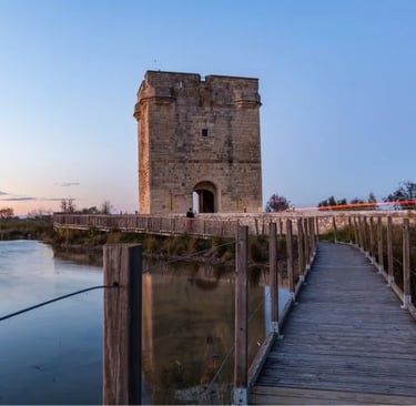 La Tour Carbonnière Aigues Mortes