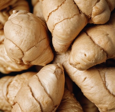 white concrete building