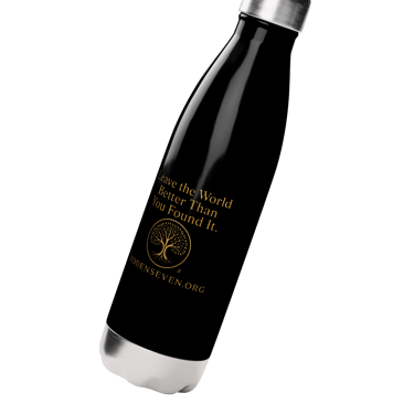 Stainless Steel Water Bottle
