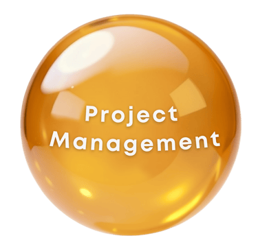 Project Management - on orange marble