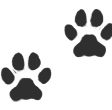 Icono de dos huellas de perro en color gris oscuro