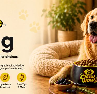 Chowwow Dog Food India