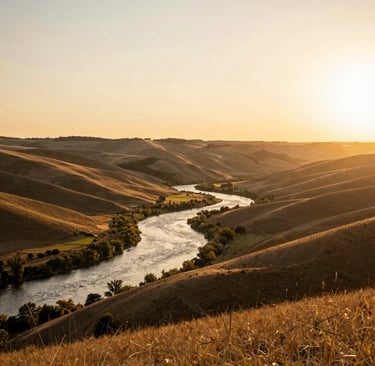 woman wearing black crew-neck shirt