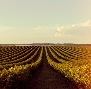 Sl 126 fala sobre semear com persistência.