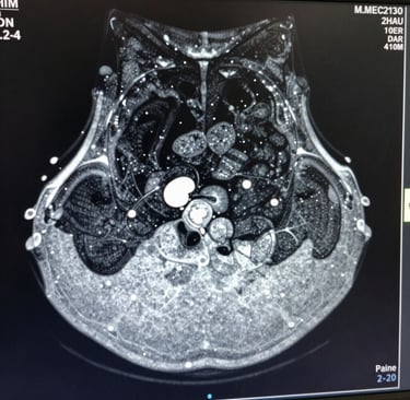 Bright living room with modern inventory