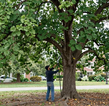 Bright living room with modern inventory