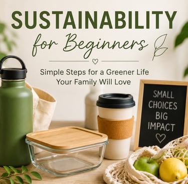 Sustainability for beginners featuring reusable household products and simple eco-friendly lifestyle