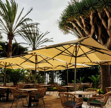 "Diseño de branding e identidad visual integrada en la naturaleza para el restaurante Esterlicia."
