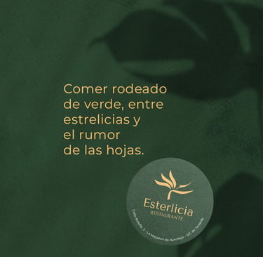 Detalle de posavasos de la marca sobre fondo verde texturizado
