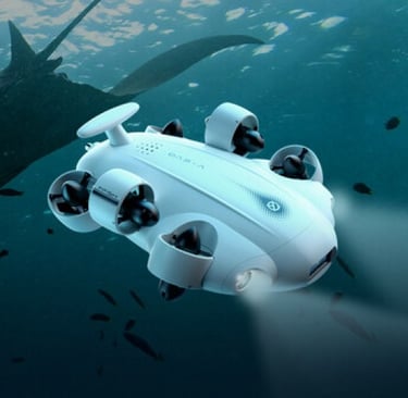 Whatever you want to see under water, retrieve lost items, up to 100m deep