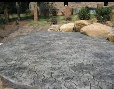 a stone fire pit with a turtle turtle in the background
