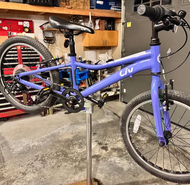 20" purple bike on bike stand