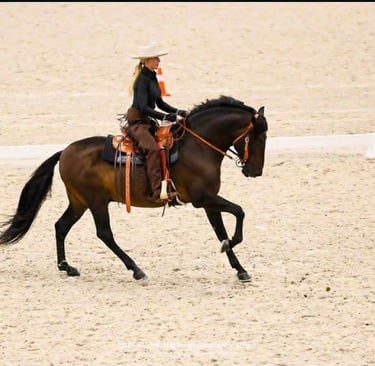 A dark bay Spanish horse in a McLite saddle