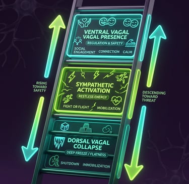 A ladder with arrows showing vagal activity