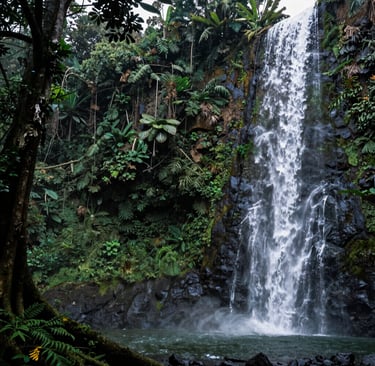 a man riding a skateboard down the side of a ramp