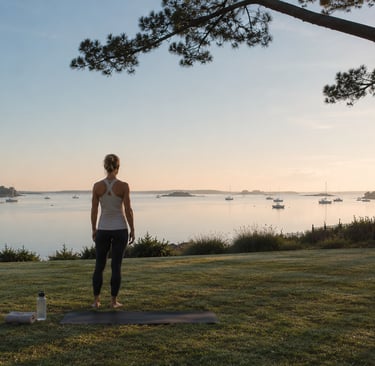 Une femme contemple le paysage du Golfe du Morbihan, debout sur une pelouse, au coucher du soleil.