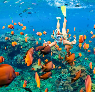 A woman snorkeling in clear blue water surrounded by vibrant orange tropical fish over a coral reef.