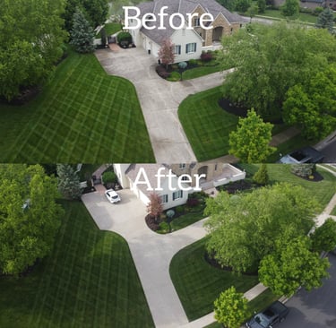 Before and after professional concrete cleaning on a residential driveway and sidewalk.