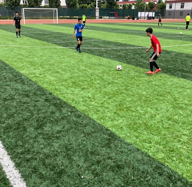 Close-up of a football resting on the lush green turf, ready for a match.