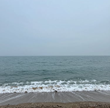 woman wearing black crew-neck shirt