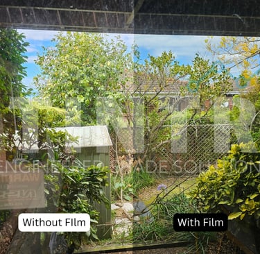 Solar control window film for Auckland homes with garden views