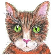 original color pencil drawing versus AI pic