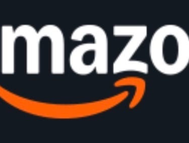 Amazon Fastpitch Softball Bats