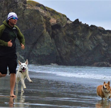 Running with Hazie and Charlie on the beach