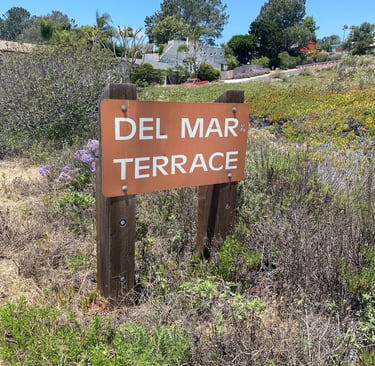 Carmel Valley Road just east of Portofino Drive
