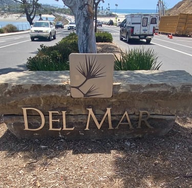 median outside of 3263 Camino Del Mar